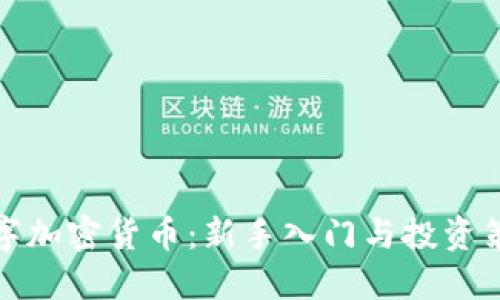 傻瓜数字加密货币：新手入门与投资策略详解