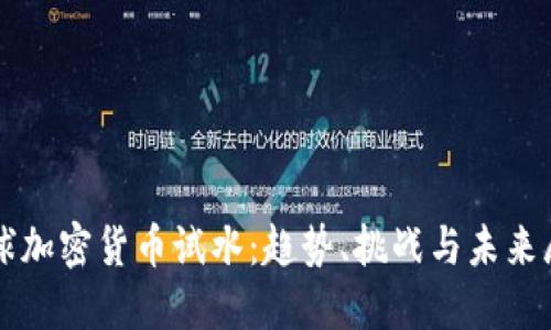全球加密货币试水：趋势、挑战与未来展望