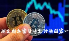 全球支持加密货币支付的