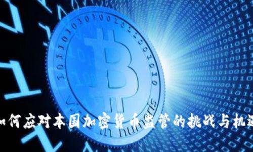 如何应对本国加密货币监管的挑战与机遇