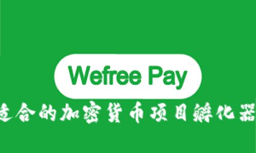 如何找到适合的加密货币项目孵化器：全面指南