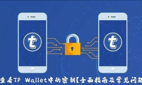 
如何查看TP Wallet中的密钥？全面指南及常见问题解答