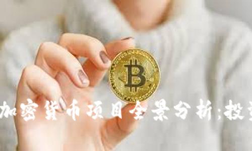 2023年越南加密货币项目全景分析：投资机会与风险