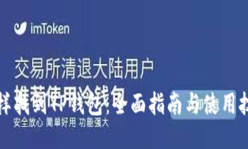 怎样找到TP钱包：全面指南与使用技巧