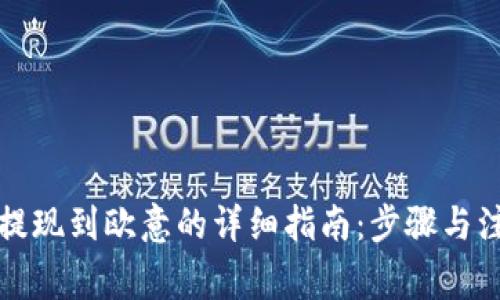 TP钱包提现到欧意的详细指南：步骤与注意事项