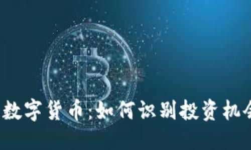 优质
ICO加密数字货币：如何识别投资机会与风险