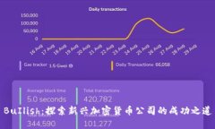 BuIlish：探索新兴加密货币