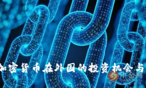 2023年加密货币在外国的投资机会与风险分析