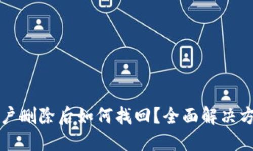 TP钱包账户删除后如何找回？全面解决方案与指南