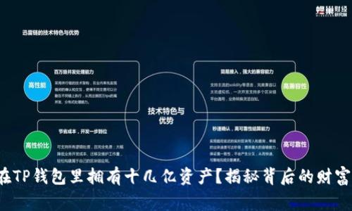  谁在TP钱包里拥有十几亿资产？揭秘背后的财富故事