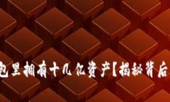  谁在TP钱包里拥有十几亿