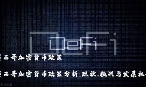墨西哥加密货币政策

墨西哥加密货币政策分析：现状、挑战与发展机会