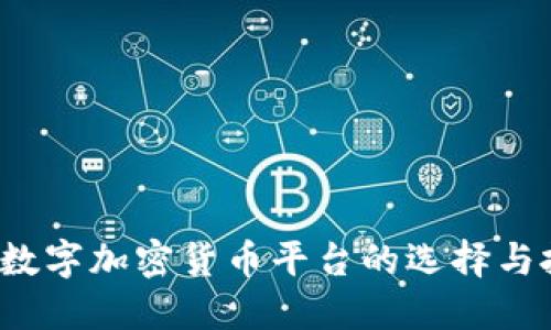 2024年数字加密货币平台的选择与投资指南