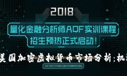 2023年美国加密虚拟货币市场分析：机遇与挑战