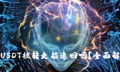 : TP钱包USDT被转走能追回吗？全面解析与建议