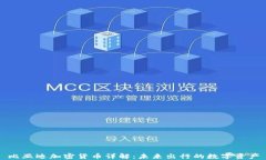 比亚迪加密货币详解：未