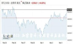银行与 BIS 加密货币：全球
