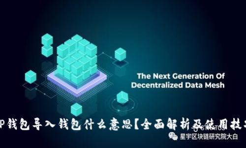 TP钱包导入钱包什么意思？全面解析及使用技巧