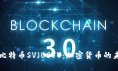 深入探讨比特币SV（BSV）：