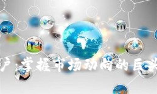 加密货币大户：掌握市场动向的巨头交易者分析