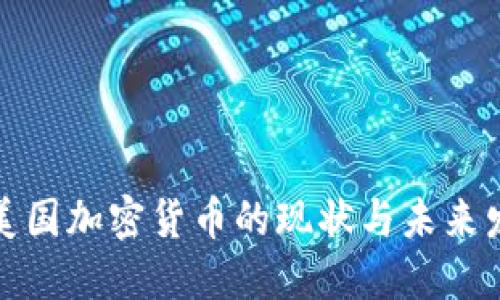 在美国加密货币的现状与未来发展