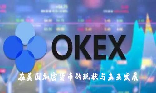 在美国加密货币的现状与未来发展