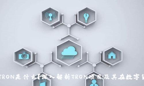 :
TP钱包里的TRON是什么？深入解析TRON项目及其在数字货币中的应用