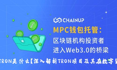 :
TP钱包里的TRON是什么？深入解析TRON项目及其在数字货币中的应用