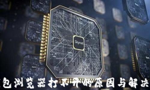 
TP钱包浏览器打不开的原因与解决方案