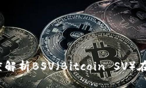 加密货币的未来：深度解析BSV（Bitcoin SV）在区块链生态中的角色