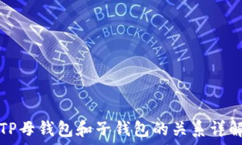   
TP母钱包和子钱包的关系详解