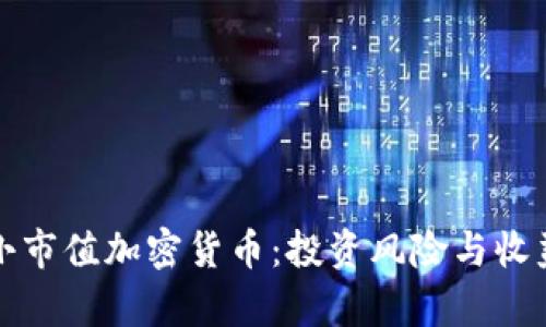 揭秘小市值加密货币：投资风险与收益分析