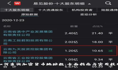 如何查询加密货币地址数：全面指南与实用技巧