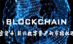小司加密货币：新兴数字