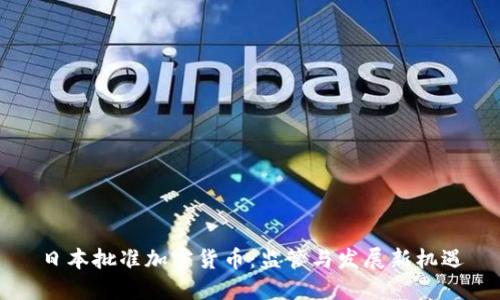 日本批准加密货币：监管与发展新机遇
