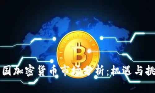 美国加密货币市场分析：机遇与挑战