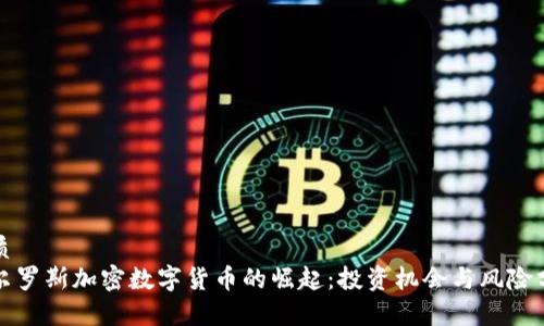 优质
比尔罗斯加密数字货币的崛起：投资机会与风险分析