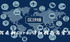 TP钱包如何质押Core：详细