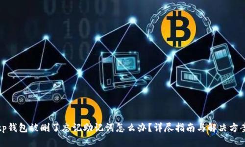 tp钱包被删了忘记助记词怎么办？详尽指南与解决方案