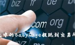 如何将TP钱包中的BabyDoge提