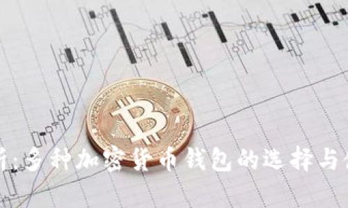 全面解析：多种加密货币钱包的选择与使用指南