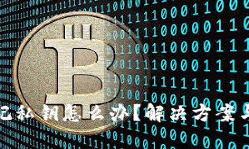 TP钱包忘记私钥怎么办？解决方案与预防措施