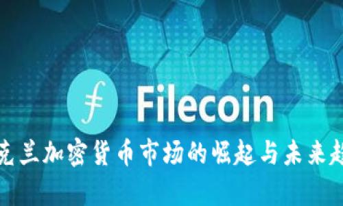 乌克兰加密货币市场的崛起与未来趋势