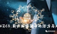 揭秘ZCB：新兴加密货币的