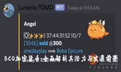 BCO加密货币：全面解析其