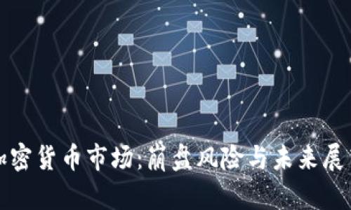 加密货币市场：崩盘风险与未来展望