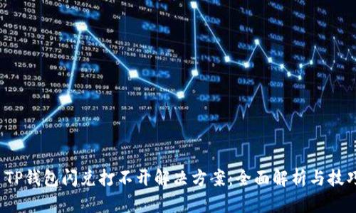  TP钱包闪兑打不开解决方案：全面解析与技巧