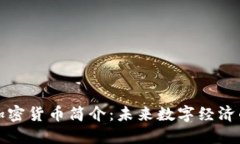 WAN加密货币简介：未来数
