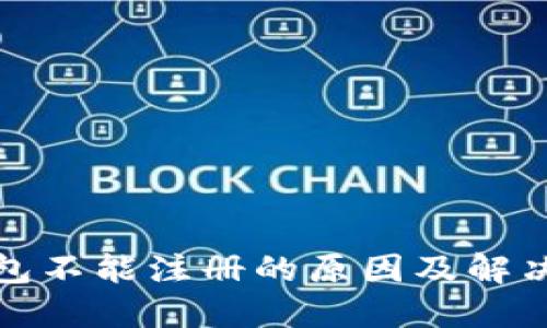 TP钱包不能注册的原因及解决方案