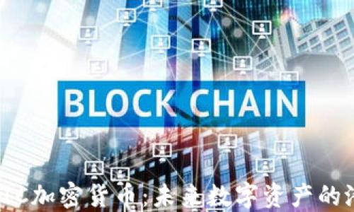 
深入了解SIC加密货币：未来数字资产的潜力与机遇